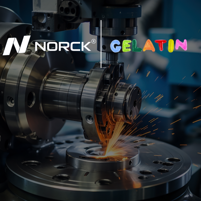 GELATIN – Partnering for Innovation and Excellence with NORCK GmbH